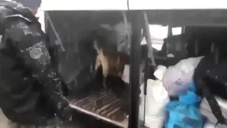 Erzurum Emniyeti, uyuşturucuya geçit vermiyor