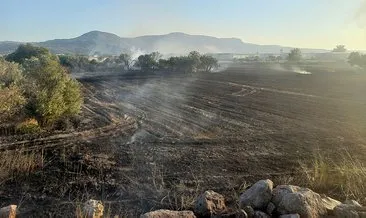 Buğday tarlalarında esrarengiz yangınlar! Binlerce dönüm küle döndü