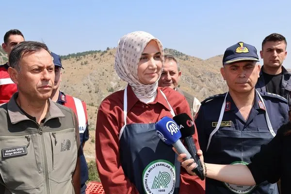 Keklik Salım İşlemi