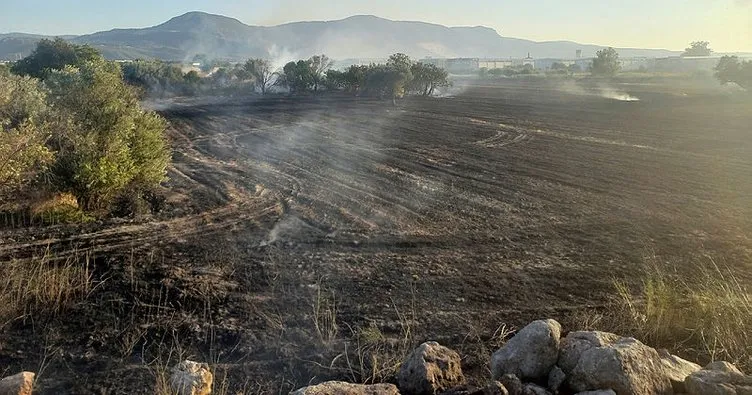 Buğday tarlalarında esrarengiz yangınlar! Binlerce dönüm küle döndü