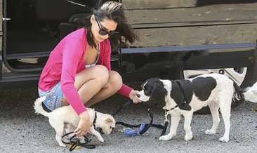 Set arasında köpek gezdirdi