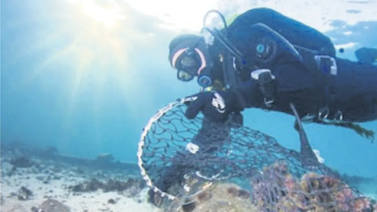 Denizlerdeki asitlenme kritik eşiği aştı Denizlerdeki asitlenme kritik eşiği aştı