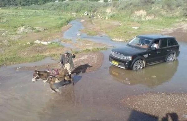 Birbirinden ilginç fotoğraflar