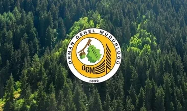 Orman Genel Müdürlüğü OGM 262 işçi alımı başvurusu yayında! 2025 OGM işçi alımı şartları ve hangi illerde yapılacak?