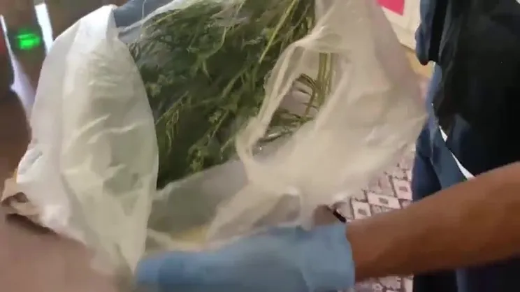 Afyon İhsaniye'de uyuşturucu operasyonu