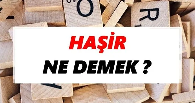 Haşir Ne Demek? TDK’ya Göre Haşir Sözlük Anlamı Nedir?