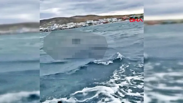 Son dakika haberi: Balıkesir Avşa Adası açıklarında dehşete düşüren görüntü! Sahil Güvenlik ekipleri inceleme... Video