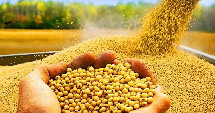 Türkiye tarımı masaya yatırılıyor