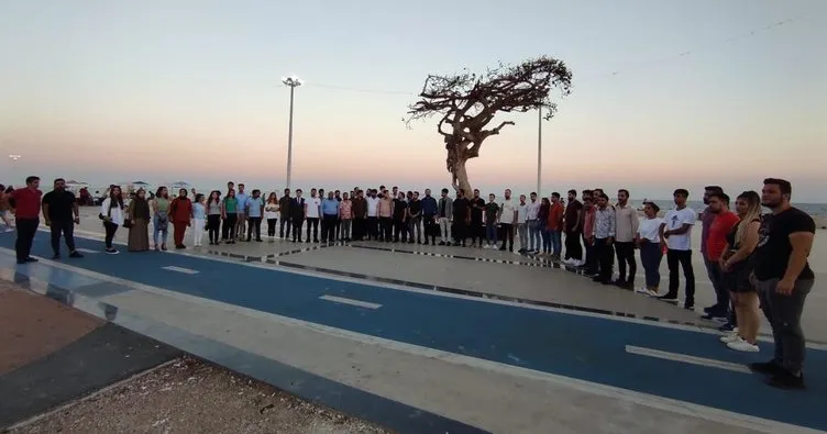 AK Parti gençler yarım asırlık ağacın zehirlenmesini kınadı