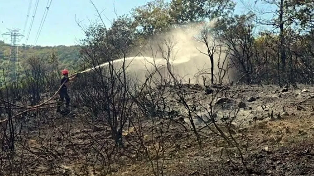 Çekmeköy Orman Yangını Çekmeköy'de çıkan orman yangını ve ekiplerin müdahalesi