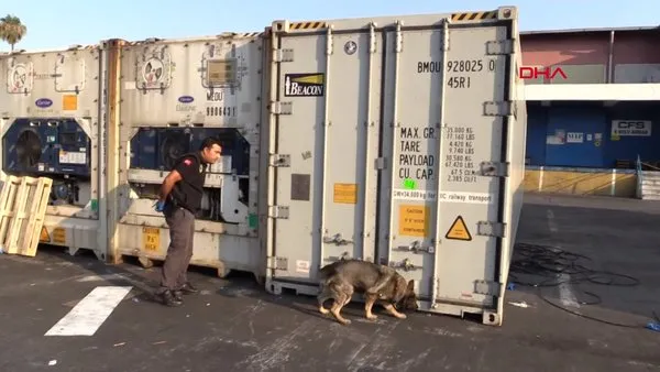 Mersin Limanı'nda muz yüklü konteynerde 463 kilo kokain ele geçirildi