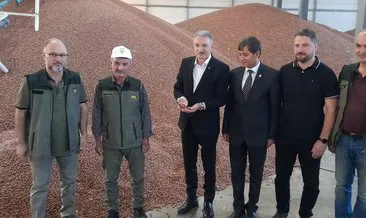 Fındık üreticisi TMO’dan memnun #giresun