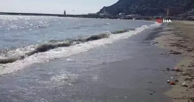 Antalya’da sahilde korkutan manzara... Ağırlıkları 2 - 5 kilogram arasında!