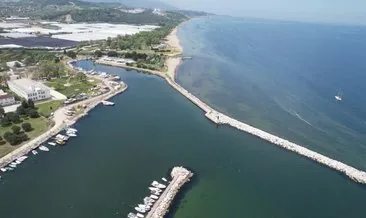 CHP'li belediyeden çevre katliamı! Kanalizasyon sularını arıtmadan denize dökmüşler #yalova