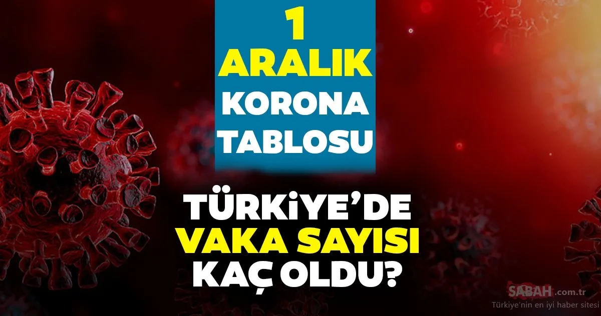 bakan fahrettin koca son dakika duyurdu 1 aralik koronavirus tablosu verileri nasil 1 aralik korona tablosu ile bugunku turkiye vaka vefat verileri son dakika haberler