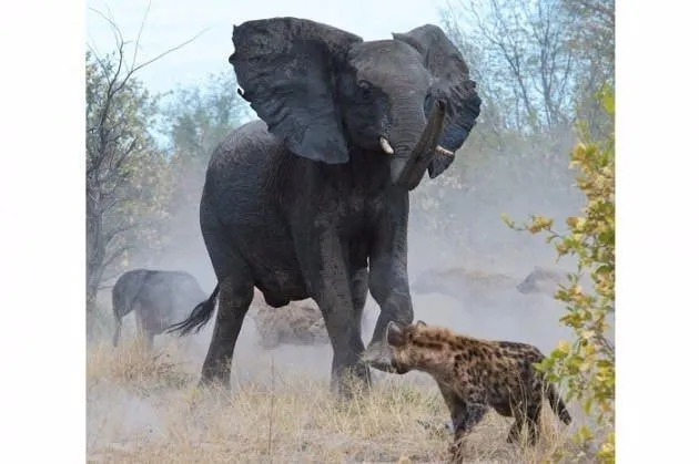 Anne filin müthiş mücadelesi