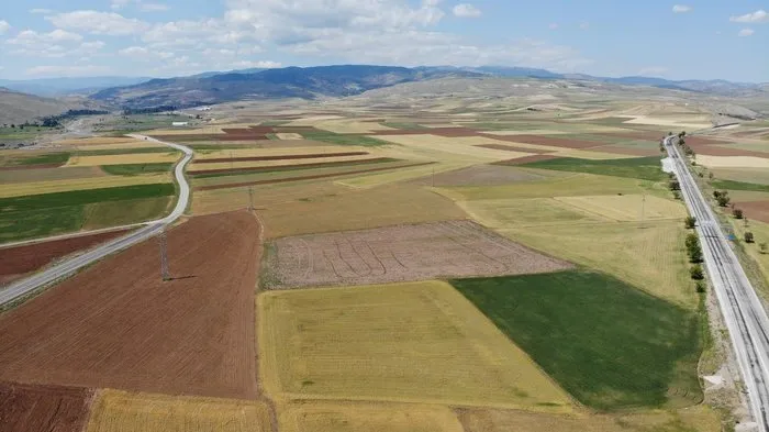 Bayat Ovası’nda 250 bin dönüm tarım arazisini kuraklık vurdu