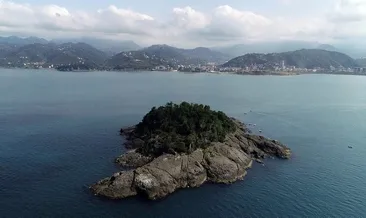 Giresun Adası için Dünya Miras Geçici Listesine başvuru