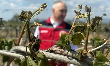 Zirai donun faturası 21 milyar lira #manisa