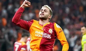 İstikrarlı aslanlar