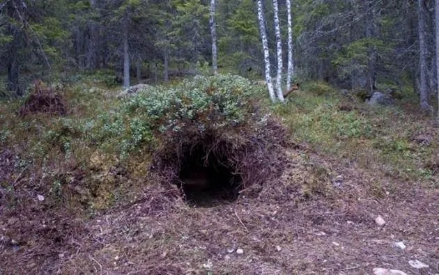 Dünyanın en ilginç bilgileri! Bunları biliyor musunuz?