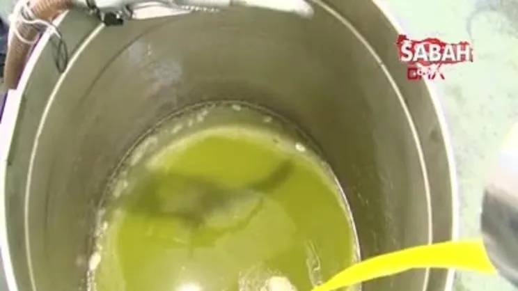 Zeytinyağında hileye dikkat! Gerçek zeytinyağı nasıl anlaşılır? | Video