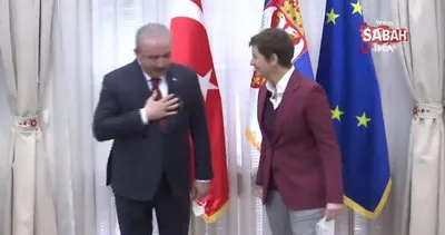 TBMM Başkanı Şentop, Sırbistan Başbakanı Brnabiç ile görüştü | Video