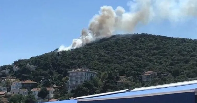 SON DAKİKA: Heybeliada’daki orman yangını kontrol altına alındı! Havadan ve karadan müdahale ediliyor