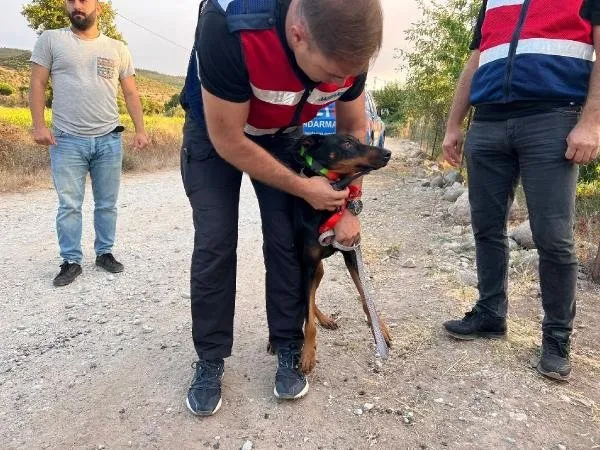 korhan-berzegi-bulmak-icin-gps-takilan-tina-her-defasinda-eve-dondu-1693650925633.jpg