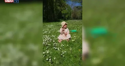 İlker Aksum’un kızı Lila doğanın kucağında! Görenler hayran kaldı: Papatyalar arasında bir papatya