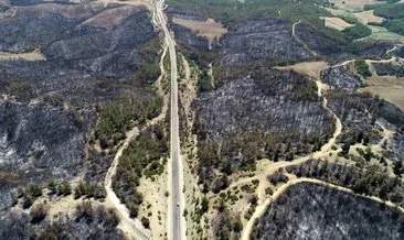 Adana’daki orman yangınları 4’üncü gününde kısmen kontrol altına alındı!