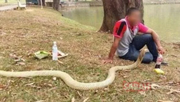 3 Metrelik kobra yılanıyla evlenen adamın yaşantısını görenler şok oluyor!