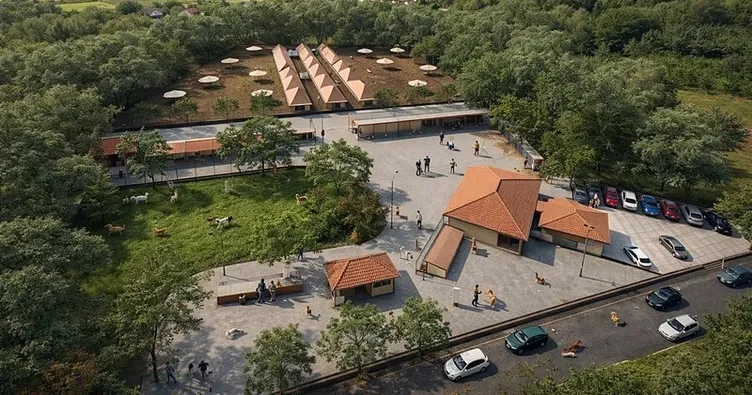 1000 can dost için modern bakımevi