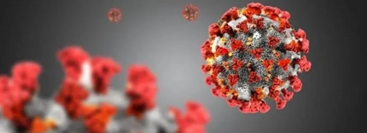 ’Koronavirüs’te burun kılı detayı: Bunu yaparsanız virüs kapma riski artıyor!