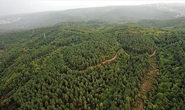 Orman kadastrosu uygulaması düzenlendi