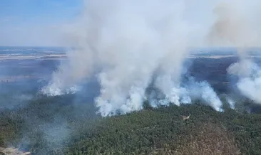 Almanya alevlerle boğuşuyor