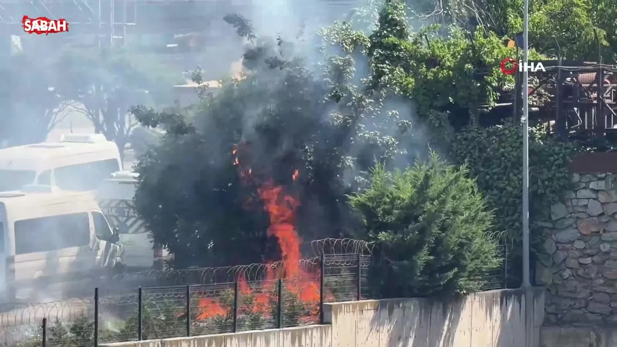 Ağaçlık alanda çıkan yangın hızlı müdahale ile büyümeden söndürüldü | Video videosunu izle Ağaçlık alanda çıkan yangın hızlı müdahale ile büyümeden söndürüldü | Video videosunu izle