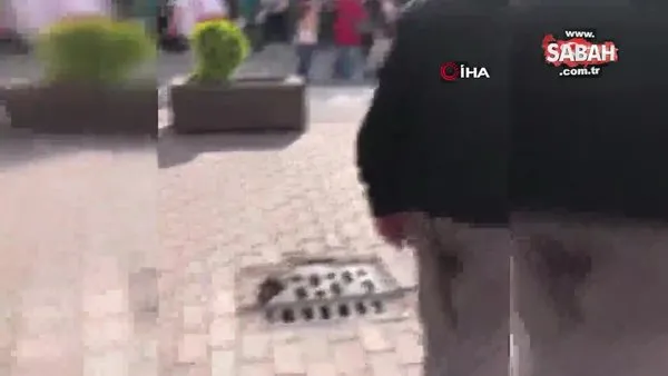 Eskişehir'de farelerin bastığı caddede esnaf tepkili | Video