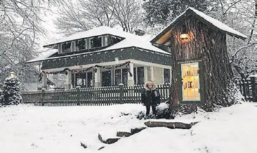 Asırlık ağaca bir kez daha hayat verdi