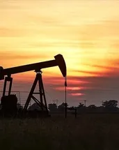 Petrol hakkına müteallik karar