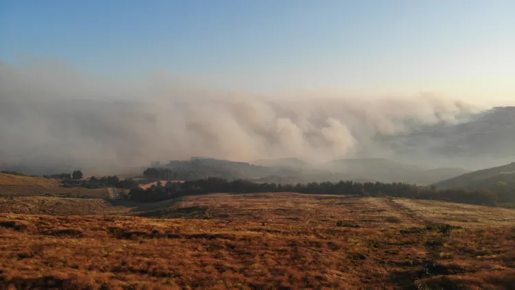 SON DAKİKA: Hatay, Mersin ve Çanakkale'de orman yangını! Alevlerle mücadele sürüyor: Bakanlar son bilançoyu açıkladı