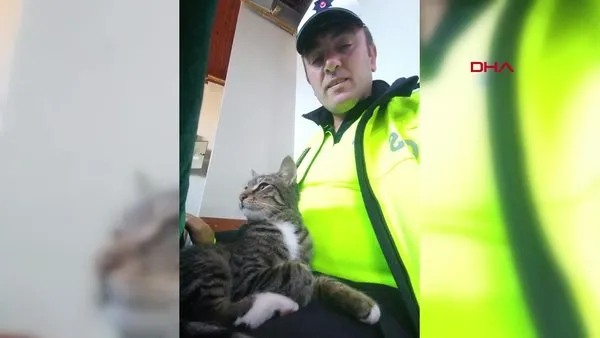 Peşindeki köpeklerden polis aracına girerek kurtulan kedi kamerada