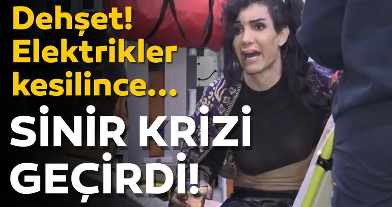 Hayvanlarin Kisirlastirilmasi Caiz Degil Son Dakika Haberler