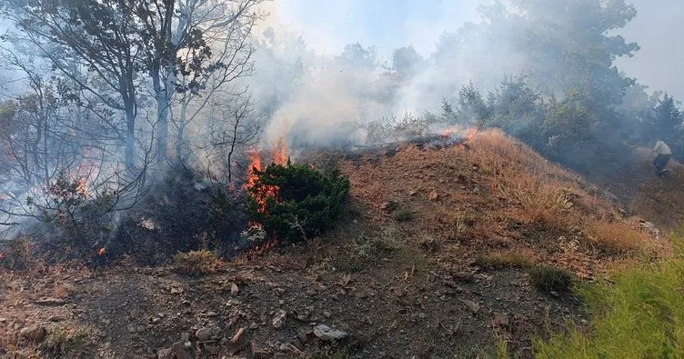 Bingöl’de 5 dönümlük alanda çıkan yangın 3 saatlik çalışmayla söndürüldü