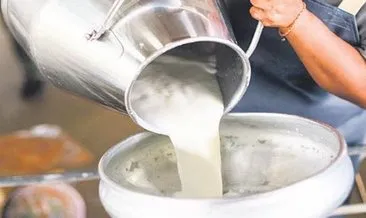 56 süt firmasına rekabet soruşturması