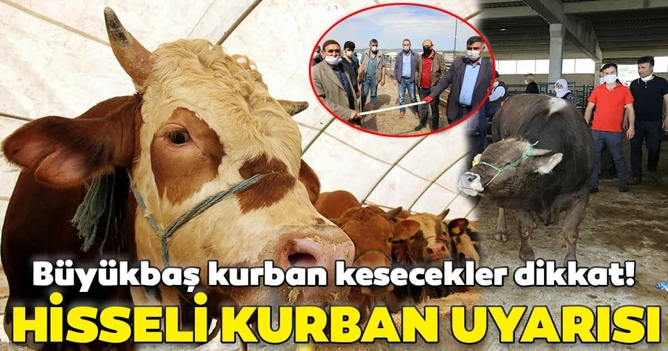 Son Dakika Bilim Kurulu Uyesi Levent Yamanel Den Hisseli Kurban Uyarisi Buyukbas Kurban Alacaklar Dikkat Sabah