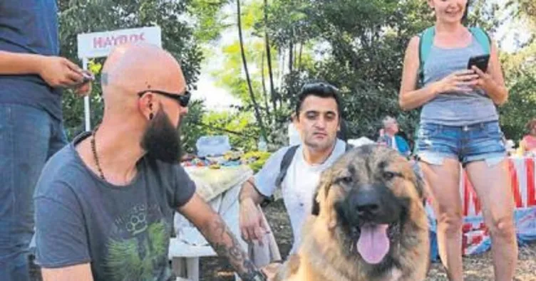 Can dostların festivali yapıldı