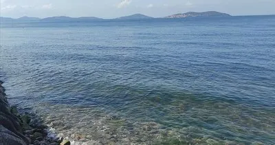 Marmara Denizi’ni bekleyen tehlike! Uzmanlar uyardı: Bir an önce yapmamız lazım