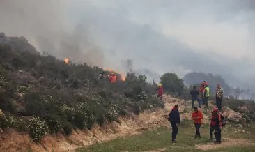 Bodrum’da ki orman yangınında sabotaj şüphesi