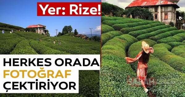 Yer: Rize! Herkes orada fotoğraf çektiriyor